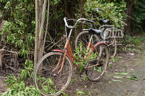 Can canh trang trai oi va cuoc song cua Le Roi tai Hai Duong hinh 5