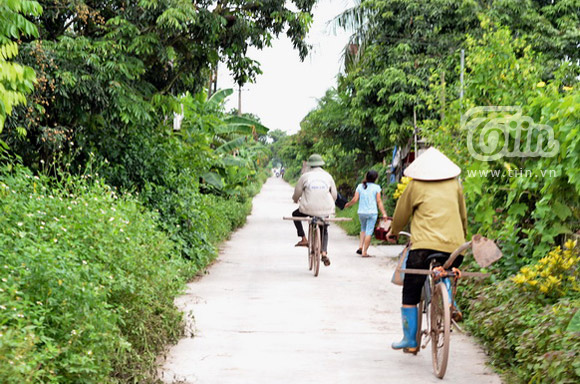 Can canh trang trai oi va cuoc song cua Le Roi tai Hai Duong hinh 8